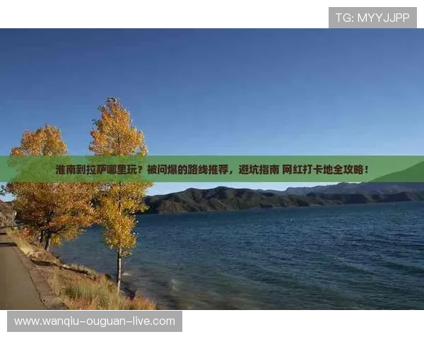 玩球直播足球平台对比避坑指南防封推荐